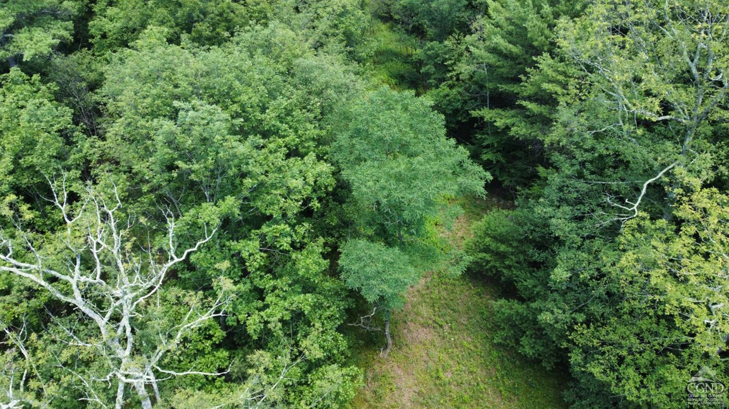 0 Vernal Butler Road Cairo, NY 12413 - Photo 5 of 10 an aerial view of residential house with outdoor space and trees all around