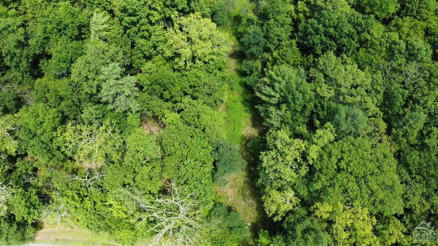 0 Vernal Butler Road Cairo, NY 12413 - Photo 8 of 10 a view of a lush green space