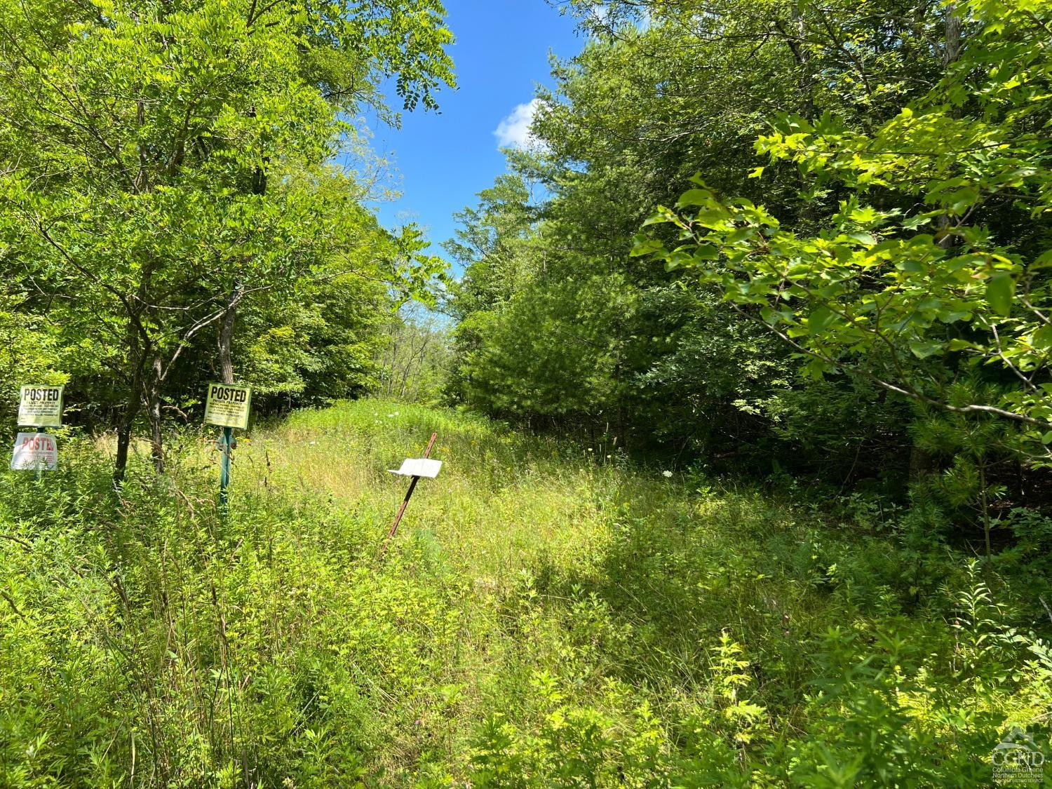 0 Vernal Butler Road Cairo, NY 12413 - Photo 9 of 10