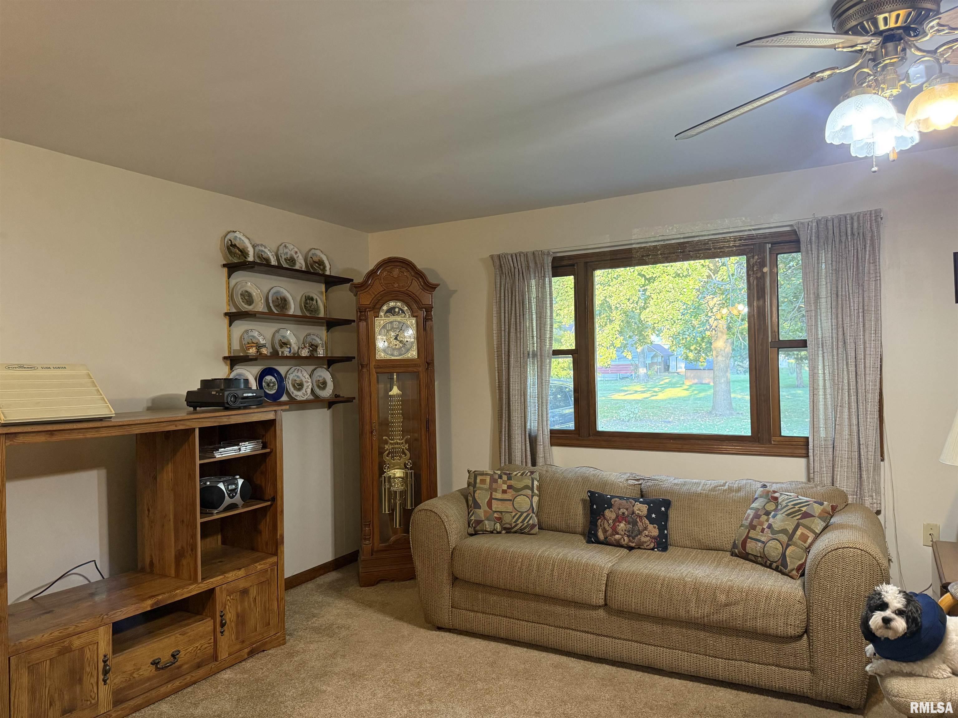 515 Ninth Street Carrollton, IL 62016 - Photo 9 of 14