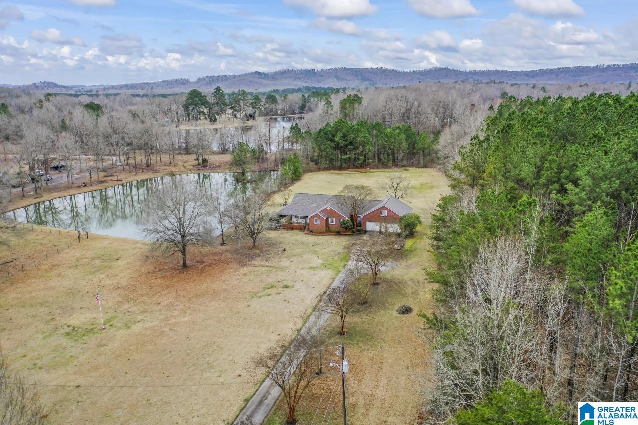 1726 Alston Farm Road Columbiana, AL 35051 - Photo 56 of 61