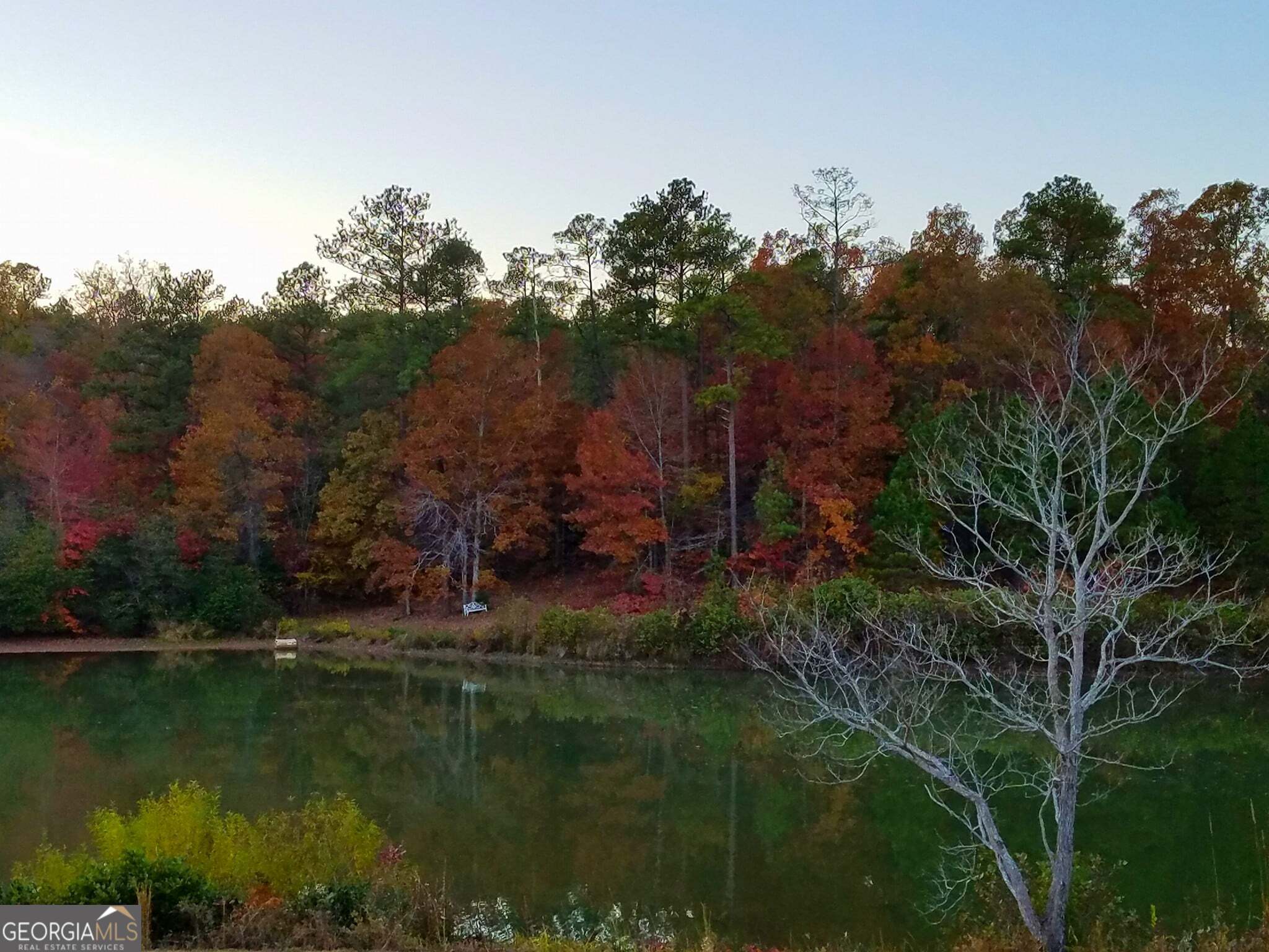 115 Old Stewart Road Forsyth, GA 31029 - Photo 30 of 32 a view of a lake with a yard and large trees