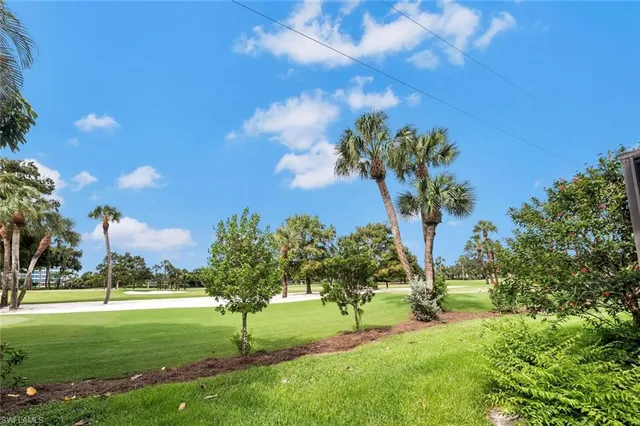 a view of grassy field with grass and palm trees