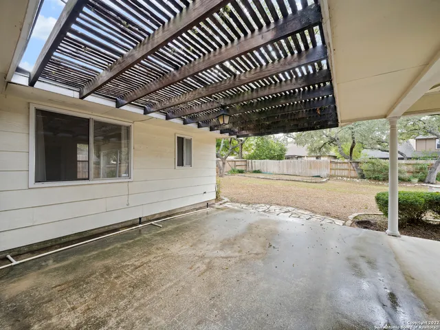 a view of a yard with plants and a large tree