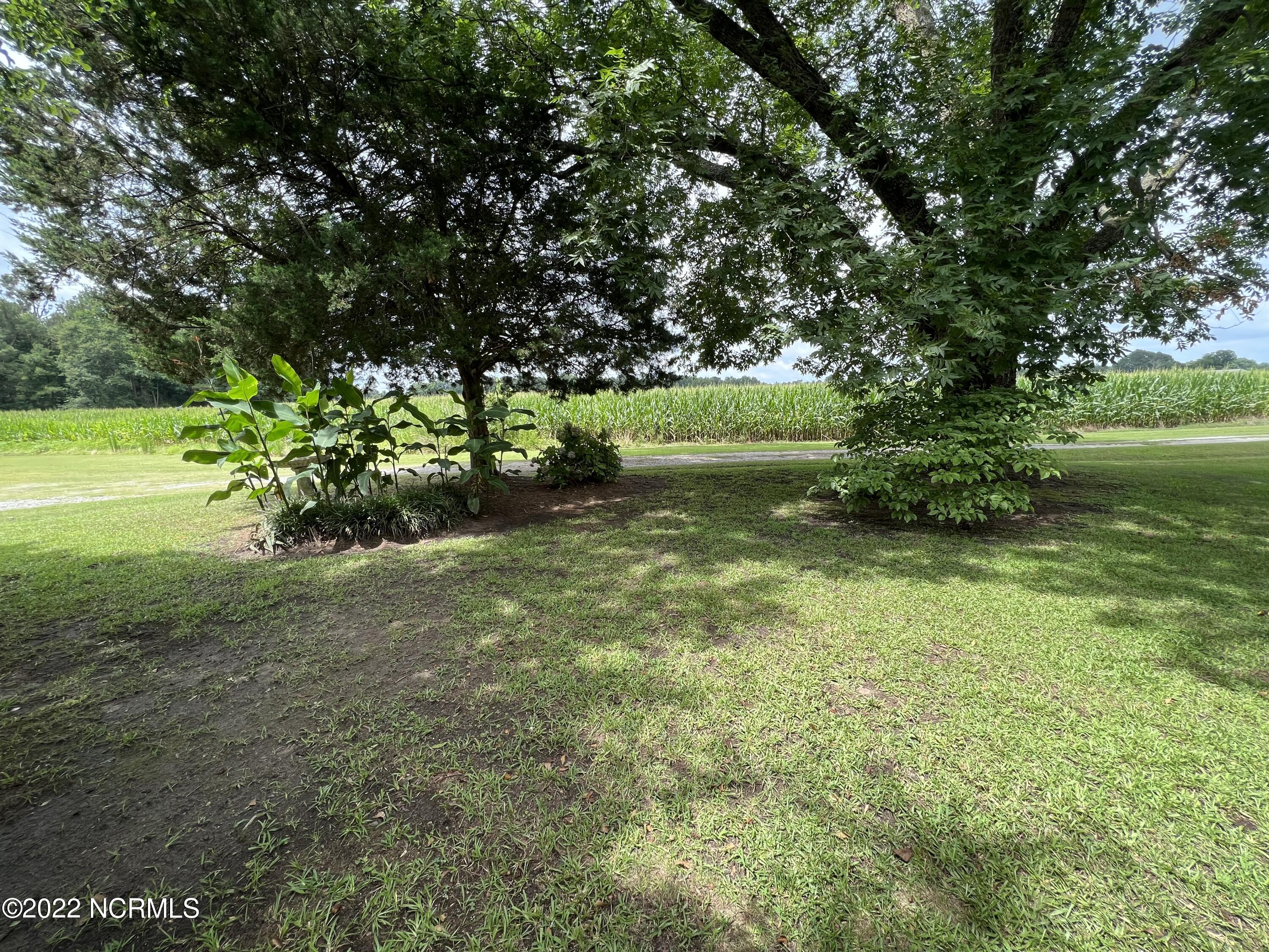 1421 Needmore Road Turkey, NC 28393 - Photo 14 of 49 Photo Jul 12, 11 44 05 AM
