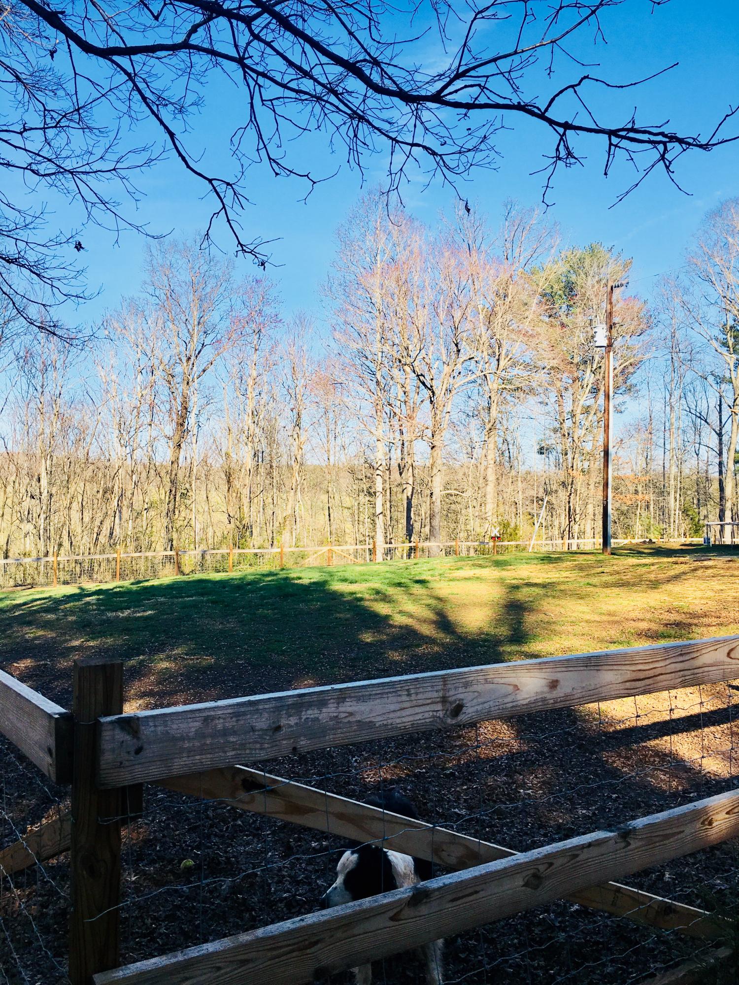 1456 Dundee Road Huddleston, VA 24104 - Photo 21 of 23 7CA7EB1B-A619-427D-BCF2-C5F72334469A