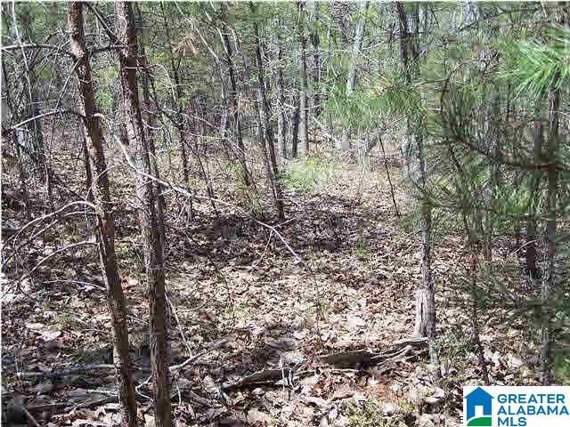 0 Homestead Lane Remlap, AL 35133 - Photo 16 of 23