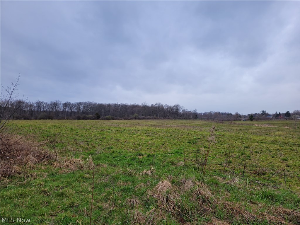9325 Slagle Road Windham, OH 44288 - Photo 15 of 25 Gallery Image 15