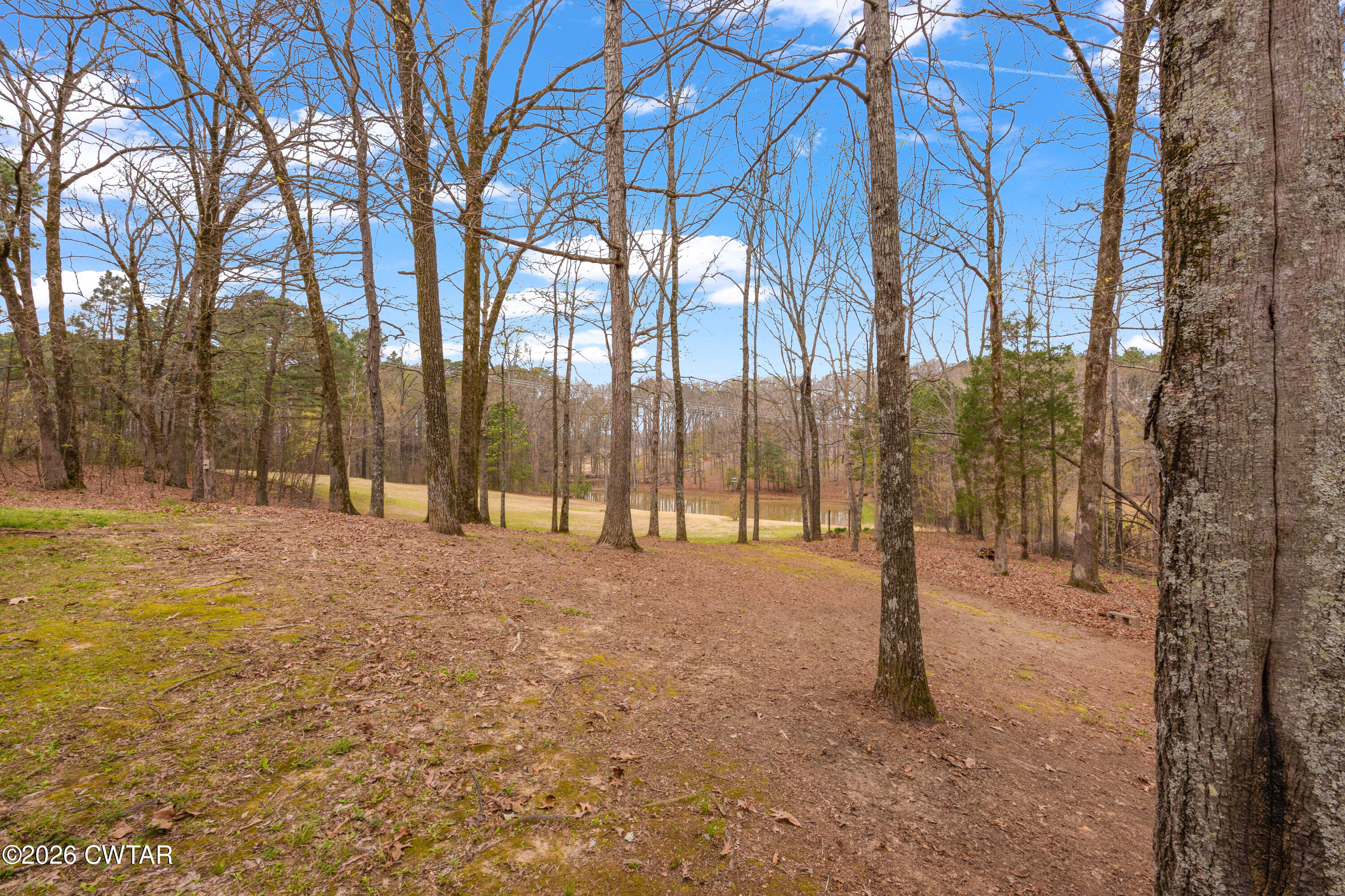 164 Mathis Crossing Road Milan, TN 38358 - Photo 5 of 33 a view of backyard space with trees