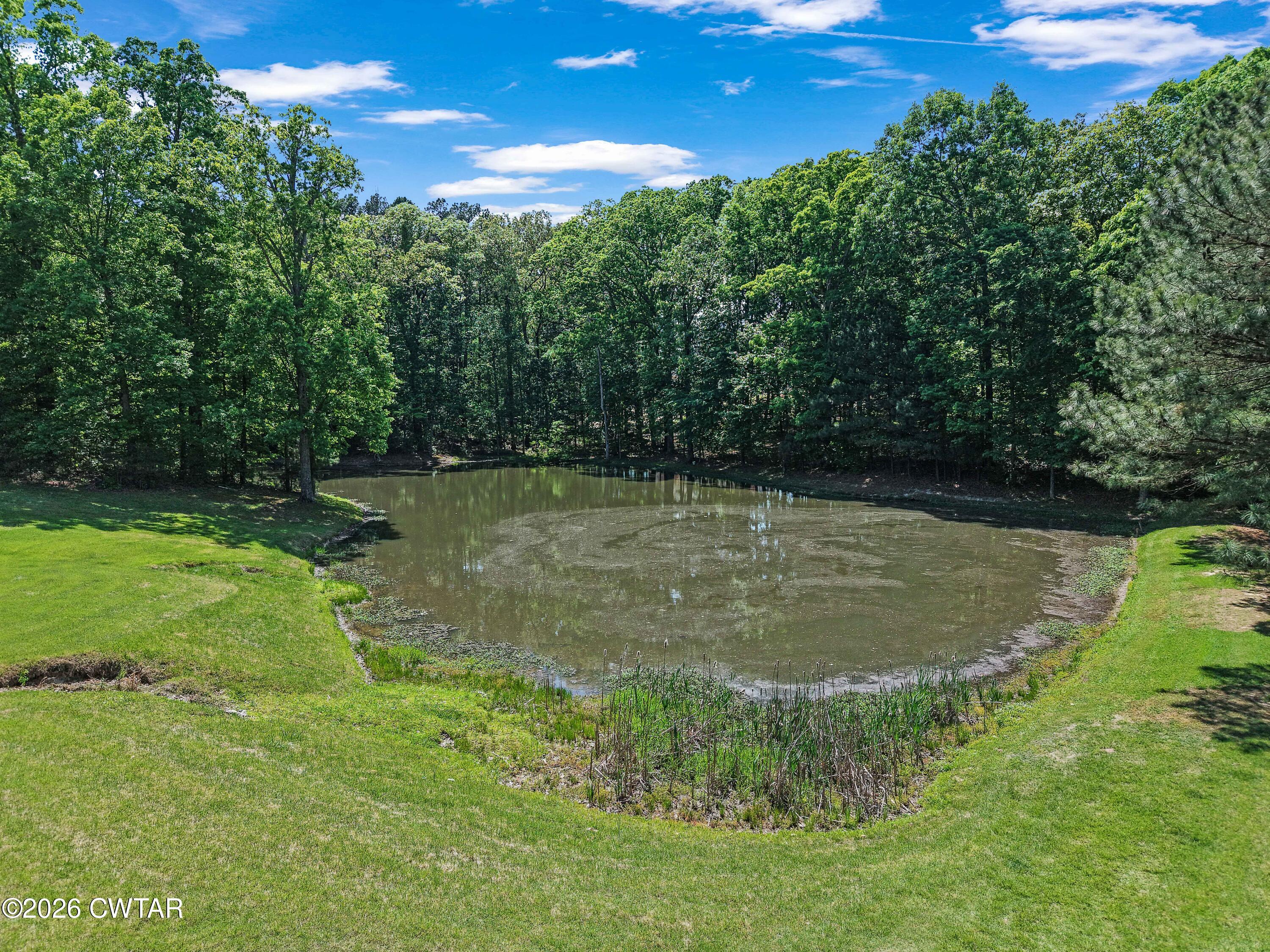 164 Mathis Crossing Road Milan, TN 38358 - Photo 8 of 33 a view of a green yard