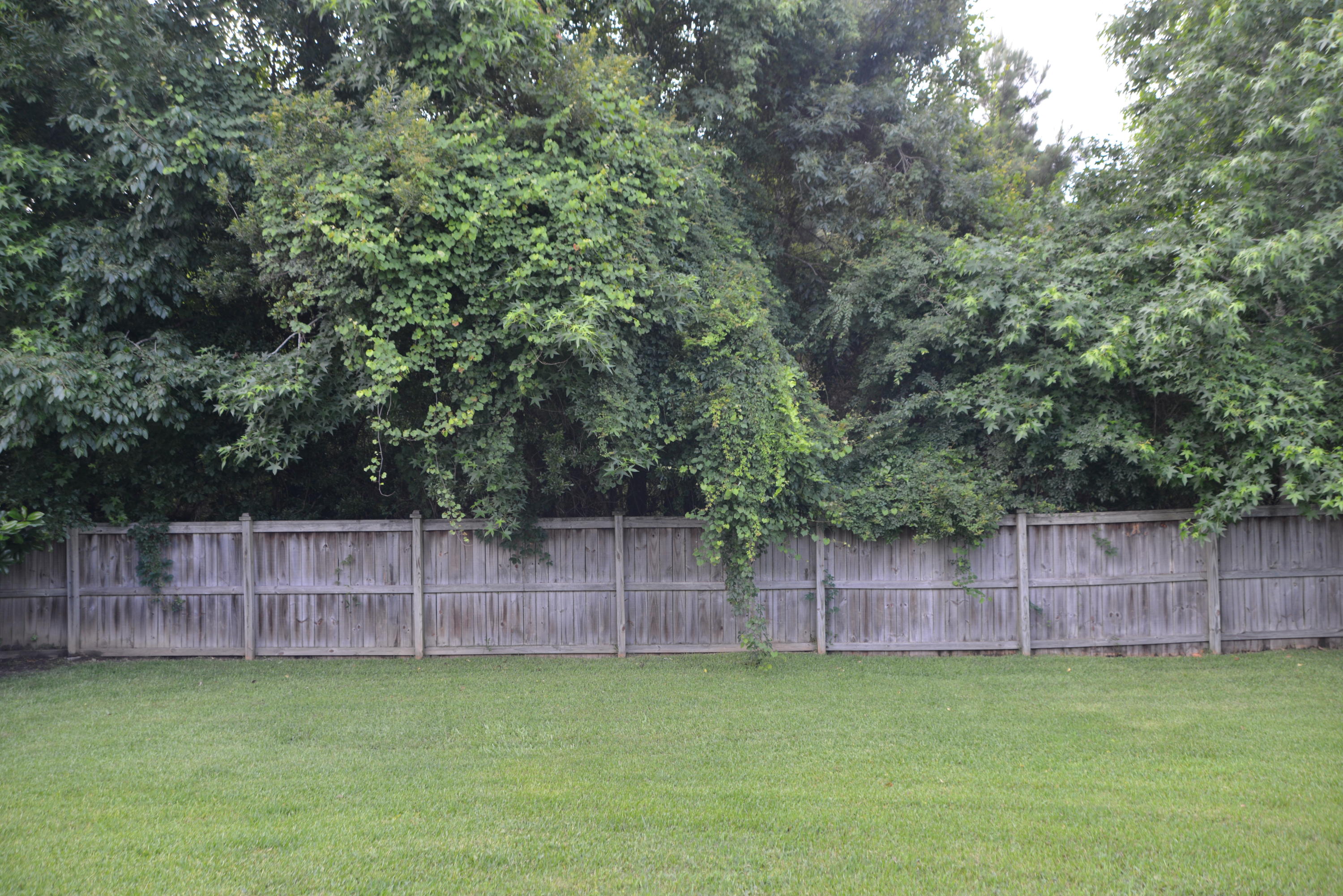 7171 Windmill Creek Road Charleston, SC 29414 - Photo 8 of 15 JWD_5407