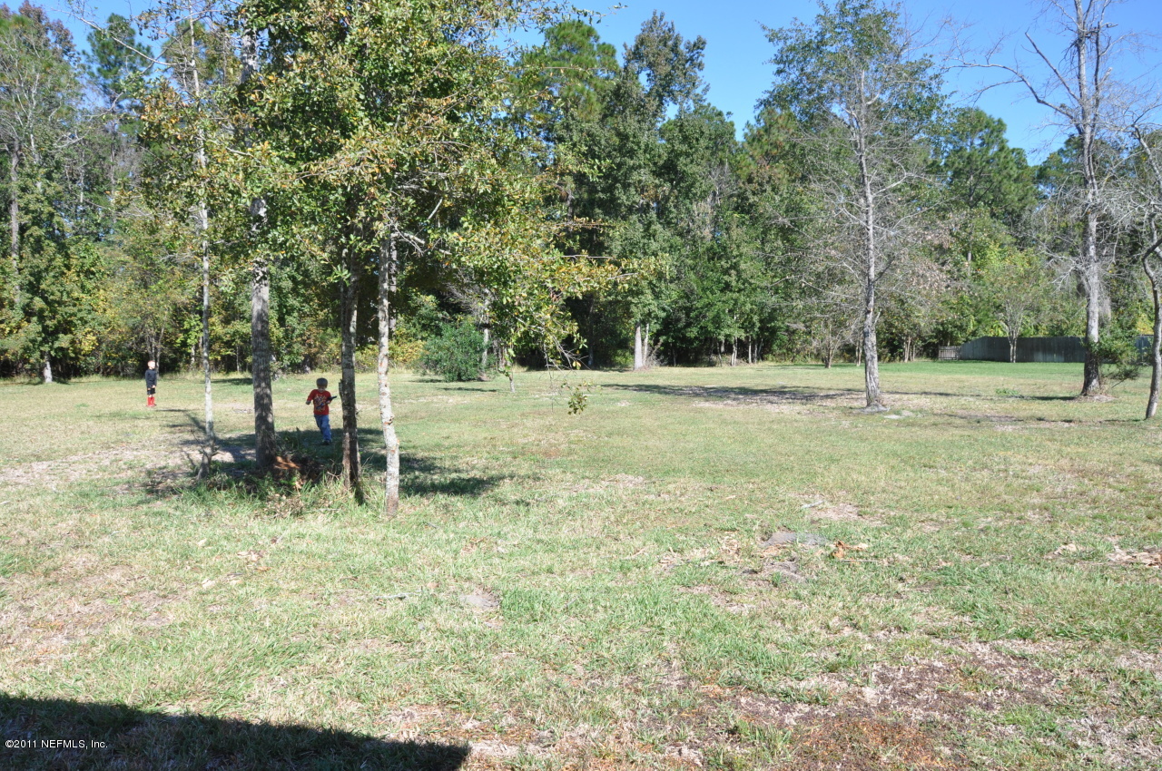 1212 Ribbon Road St. Johns, FL 32259 - Photo 3 of 10 a big yard with lots of green space and deers