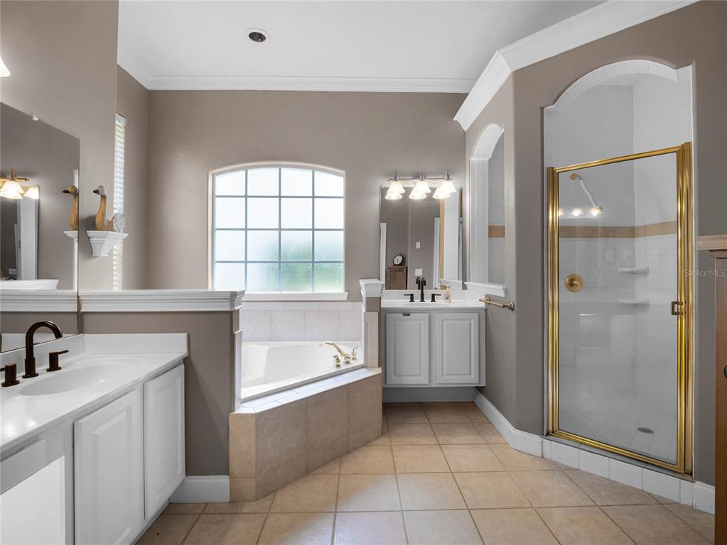 2544 Carter Grove Circle Windermere, FL 34786 - Photo 36 of 46 Gallery Image 36
