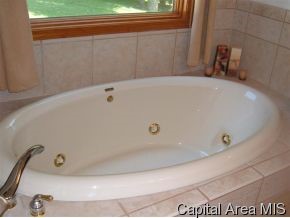 11330 Timber View Lane Athens, IL 62613 - Photo 4 of 11 Gallery Image 4