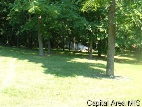 11330 Timber View Lane Athens, IL 62613 - Photo 6 of 11 Gallery Image 6