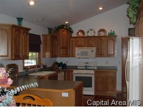 11330 Timber View Lane Athens, IL 62613 - Photo 8 of 11 Gallery Image 8