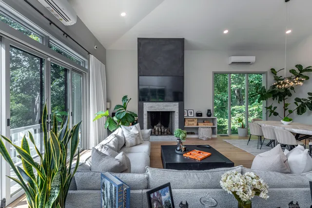 a living room with furniture fireplace and potted plant
