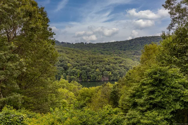 a view of a lake with a yard