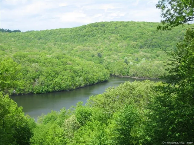 a view of a lake with a city