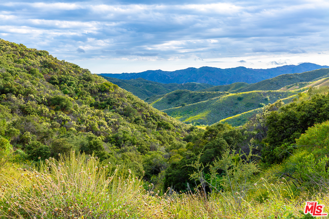 24277 Dry Canyon Cold Creek Road Calabasas, CA 91302 - Photo 42 of 45 a view of a lush green hillside and a houses