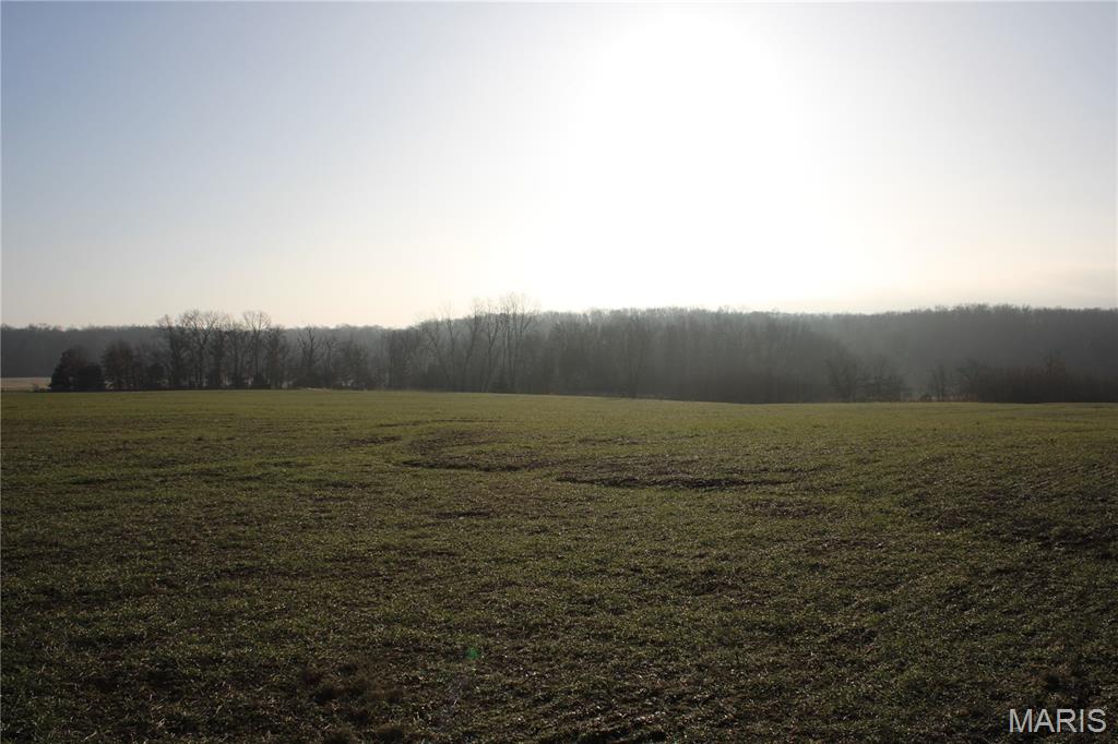 7 Sharps Place Perry, MO 63462 - Photo 2 of 3