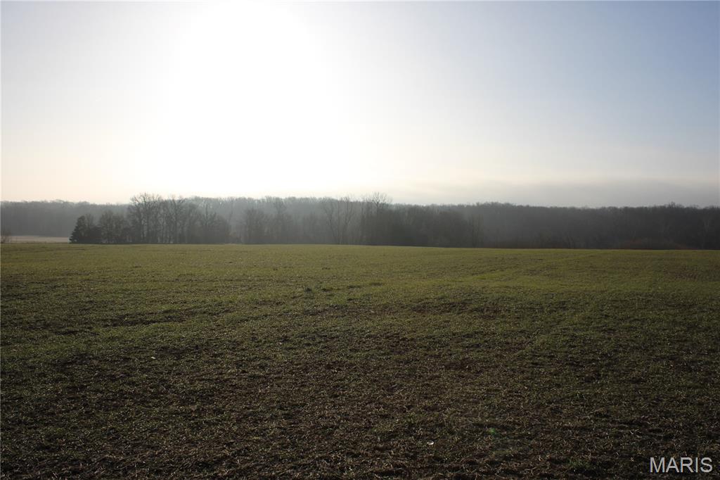 7 Sharps Place Perry, MO 63462 - Photo 3 of 3