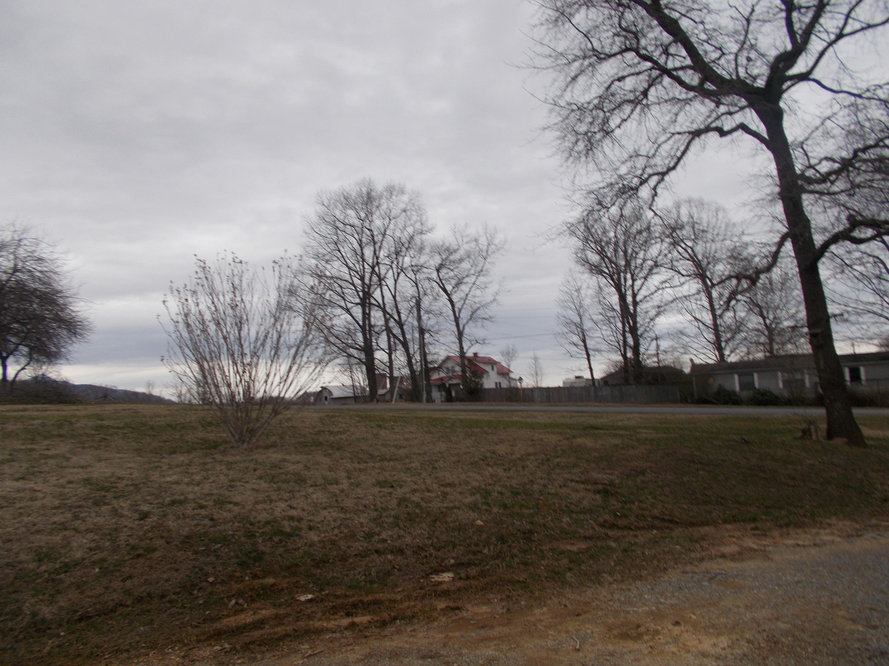 3132 Quarles Road Thaxton, VA 24174 - Photo 2 of 34 a view of dirt field with trees