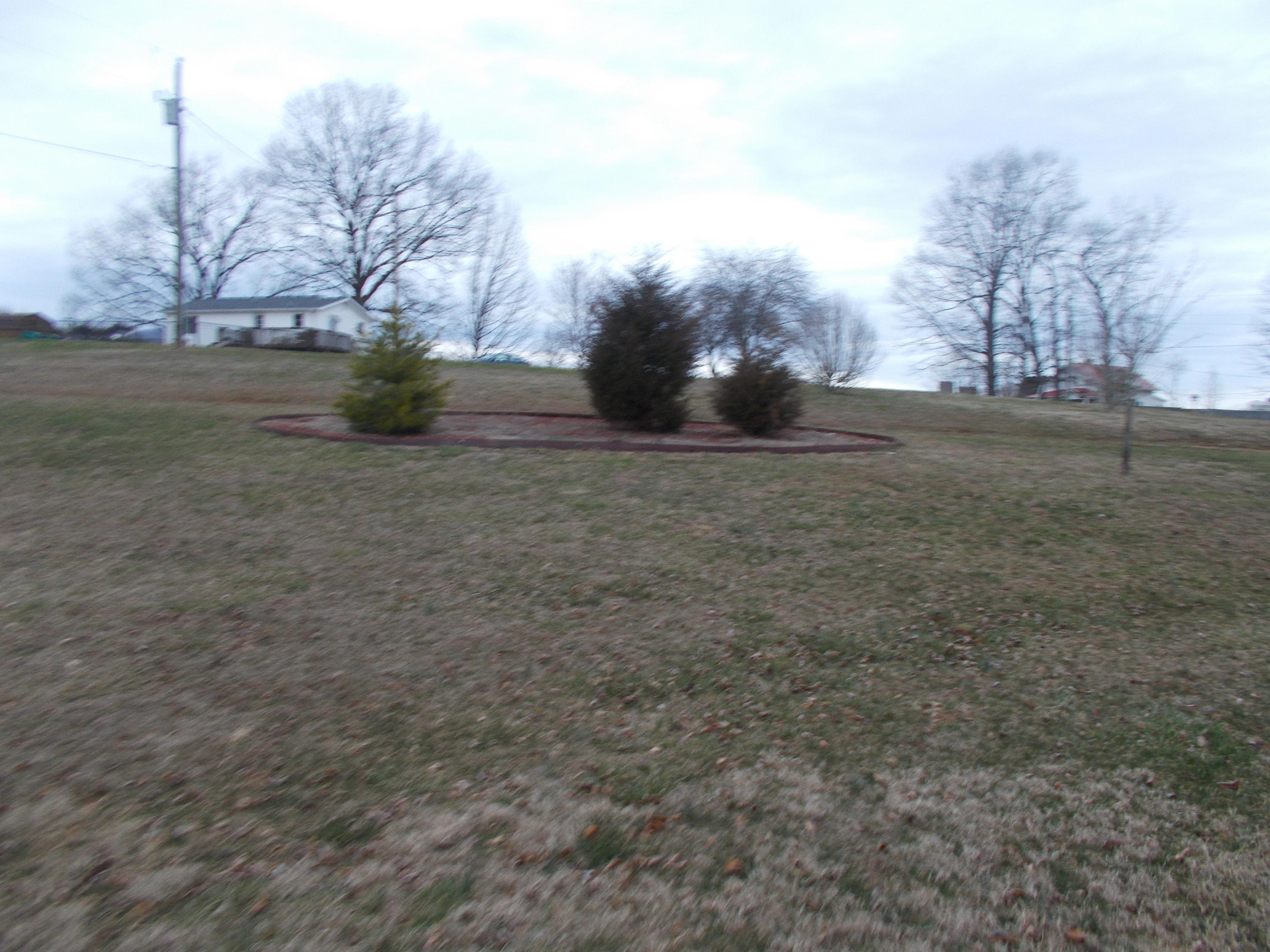 3132 Quarles Road Thaxton, VA 24174 - Photo 13 of 34 a view of outdoor space yard and tree