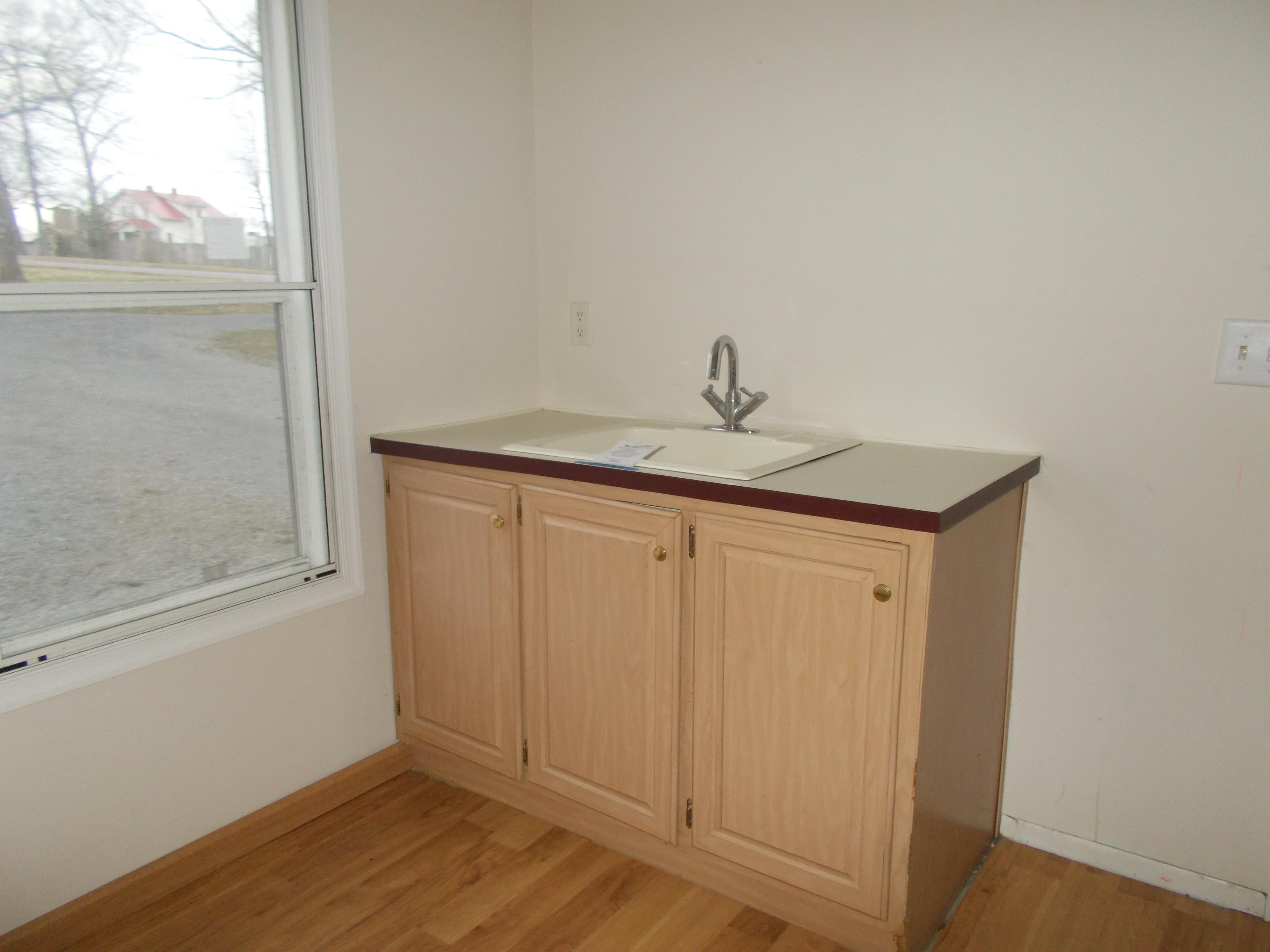 3132 Quarles Road Thaxton, VA 24174 - Photo 18 of 34 a bathroom with a sink and vanity