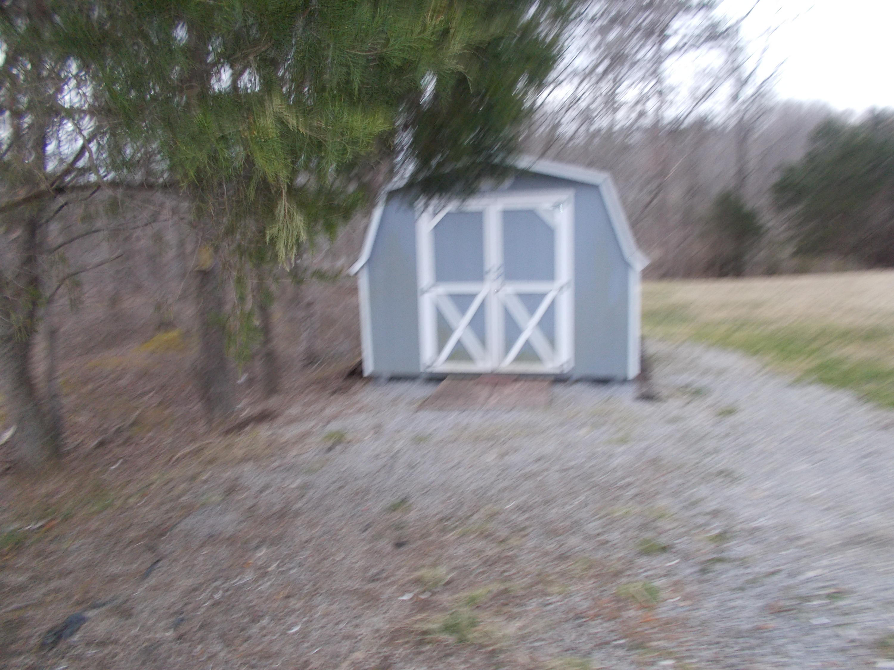 3132 Quarles Road Thaxton, VA 24174 - Photo 4 of 34 a view of back yard of a house