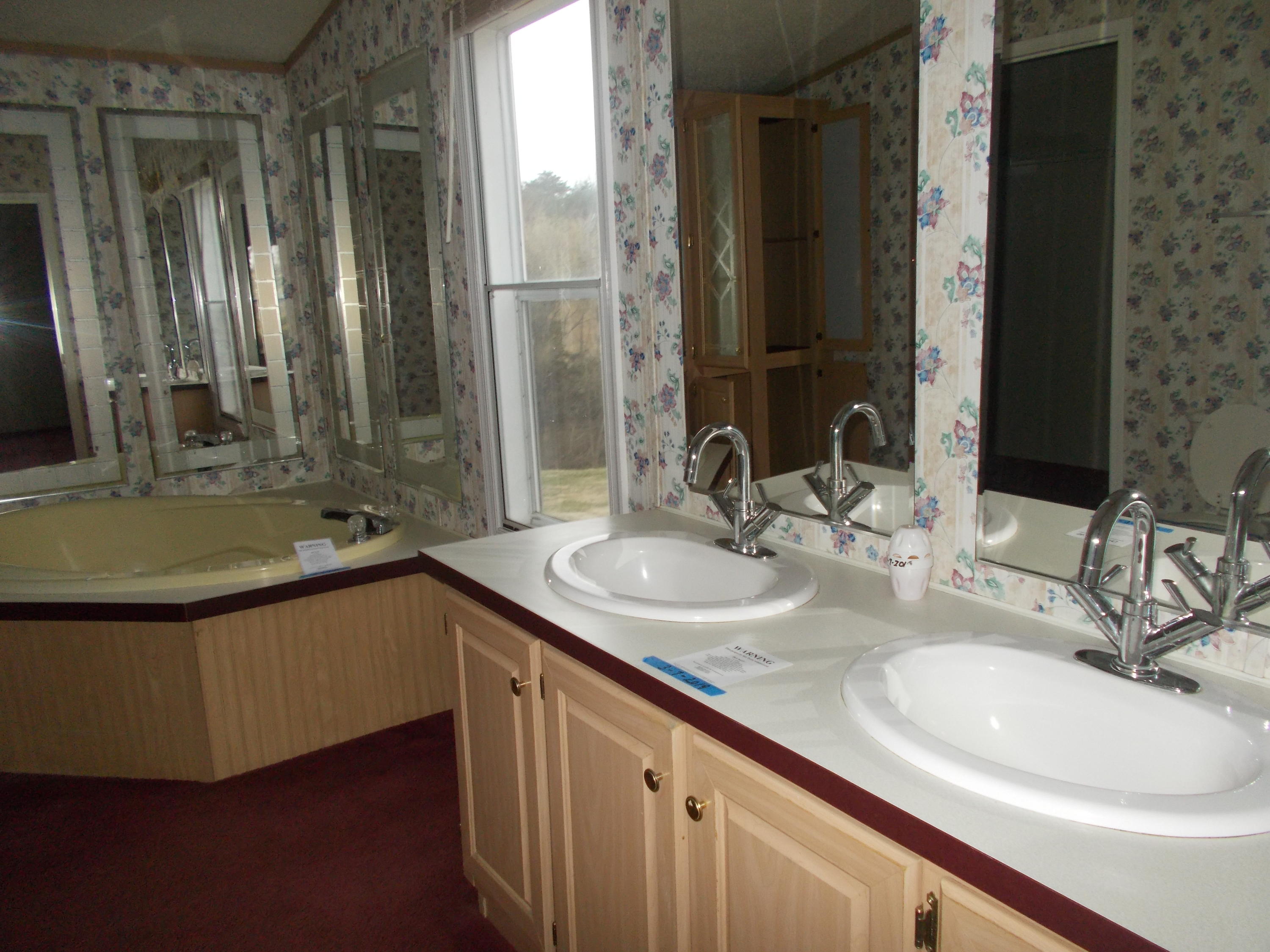 3132 Quarles Road Thaxton, VA 24174 - Photo 31 of 34 a bathroom with a sink and a mirror