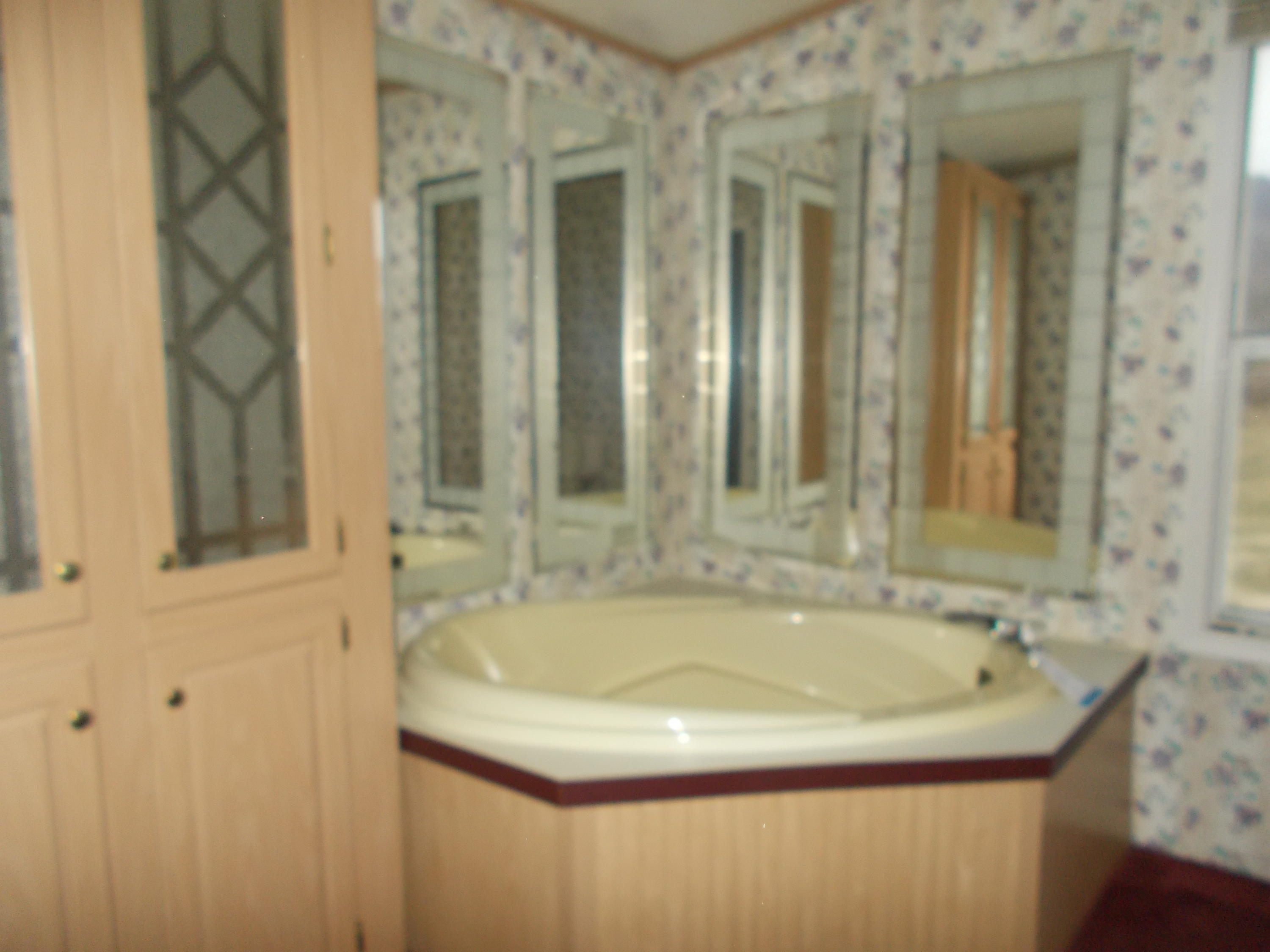 3132 Quarles Road Thaxton, VA 24174 - Photo 33 of 34 a bathroom with a sink and a shower