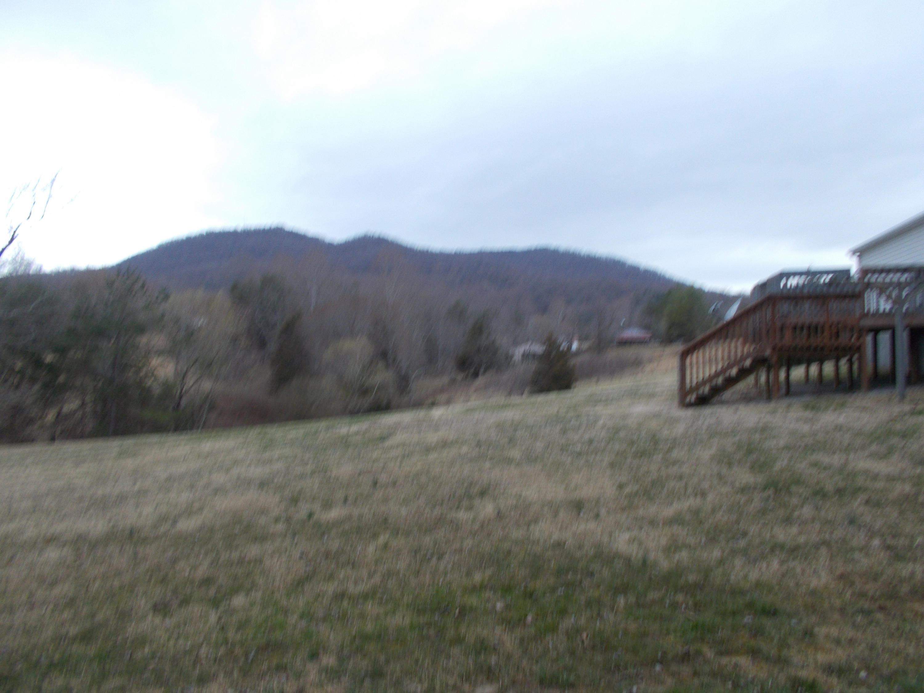 3132 Quarles Road Thaxton, VA 24174 - Photo 8 of 34 a view of a dry yard with mountains in the background