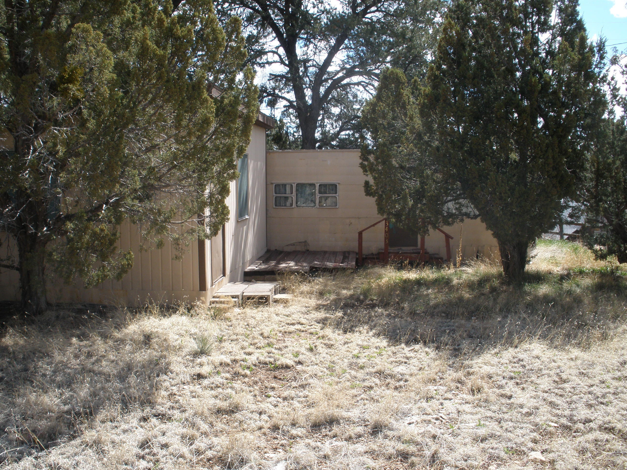 3403 Apache Drive Drive Overgaard, AZ 85933 - Photo 2 of 3