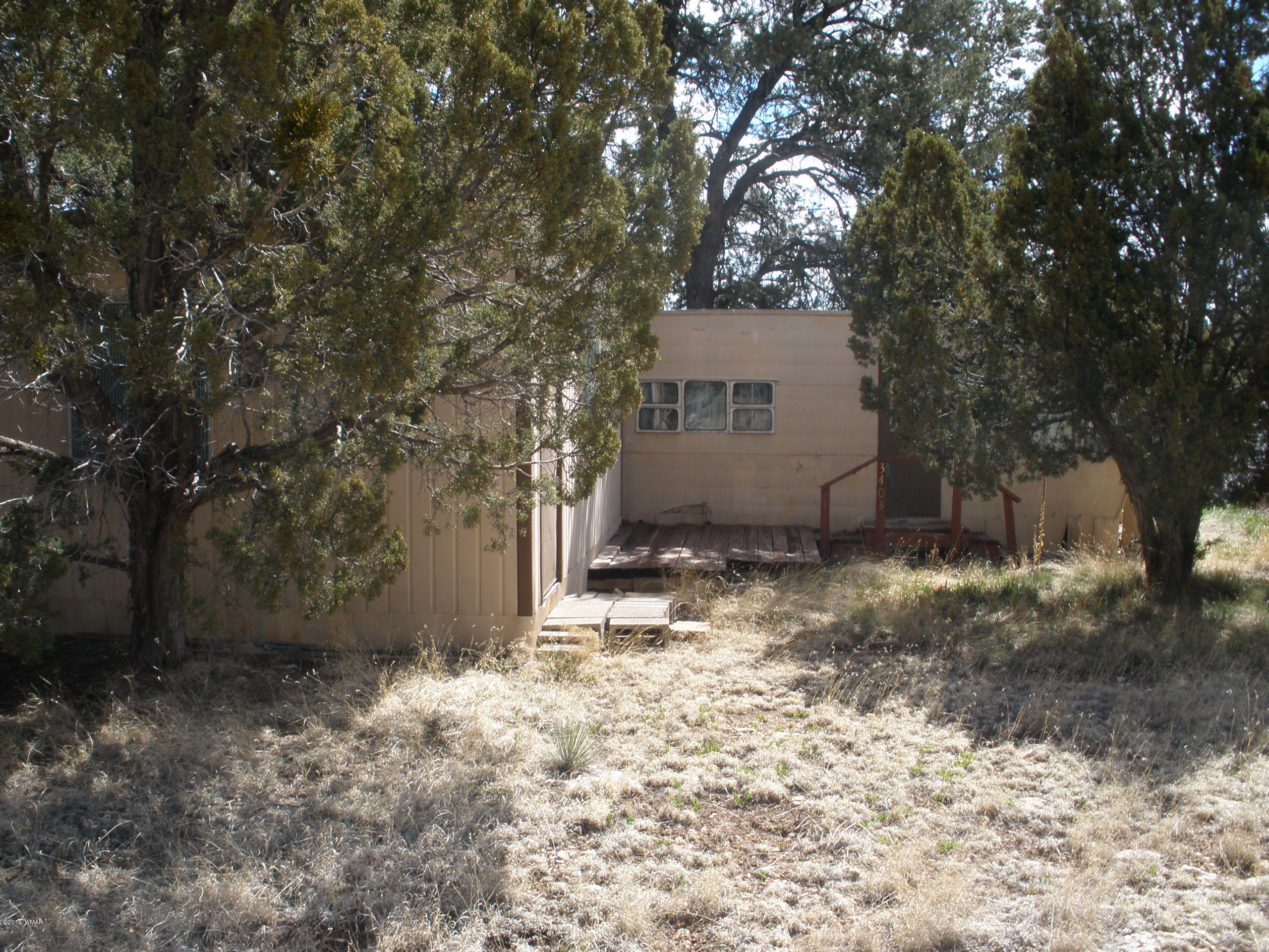 3403 Apache Drive Drive Overgaard, AZ 85933 - Photo 3 of 3