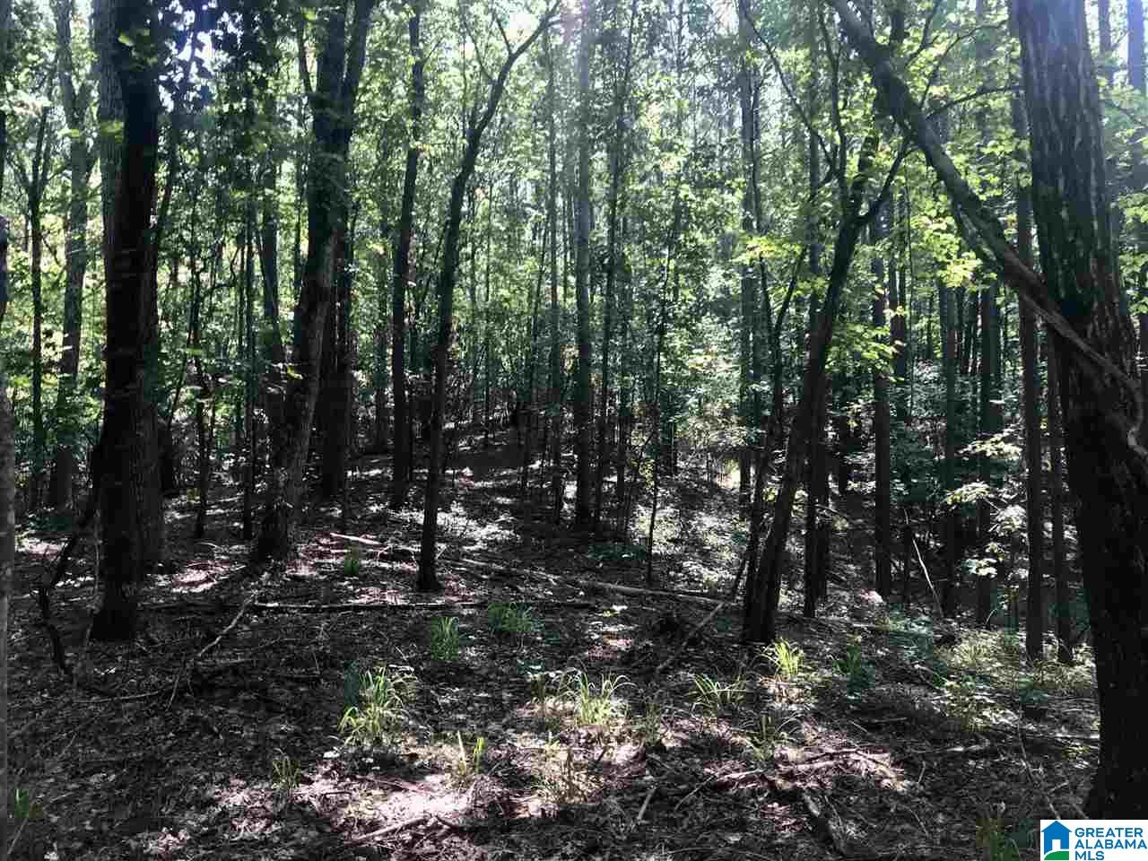 0 Sleepy Hollow Road, Unit 75 Rockford, AL 35136 - Photo 7 of 33