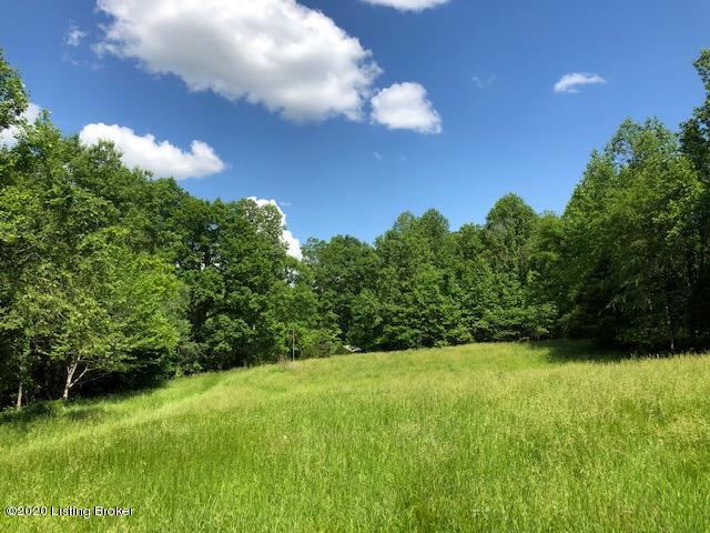 0 Old Hilltop Road Clarkson, KY 42726 - Photo 8 of 29 field 1 b