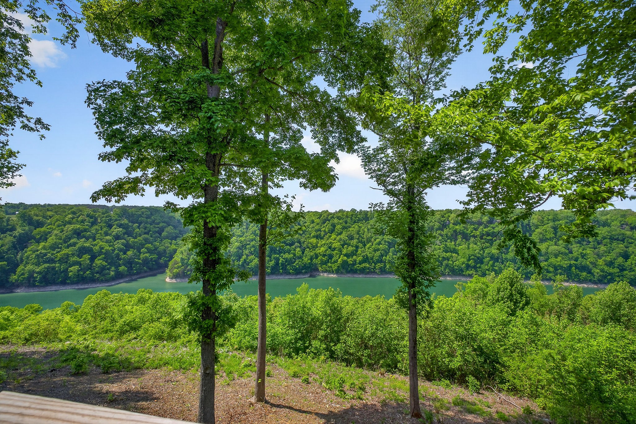 1171 Hutchins Bend Road Sparta, TN 38583 - Photo 73 of 74