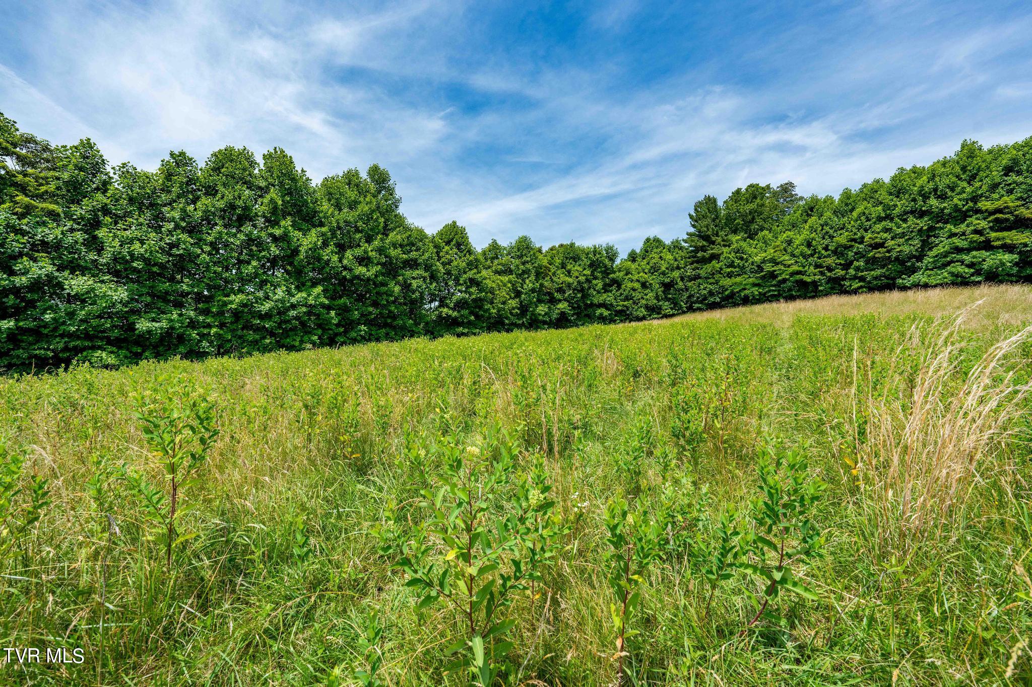 0 Eaton Station Road, Unit 1 Kingsport, TN 37664 - Photo 30 of 37 TBD Eaton Station Rd (30 of 37)