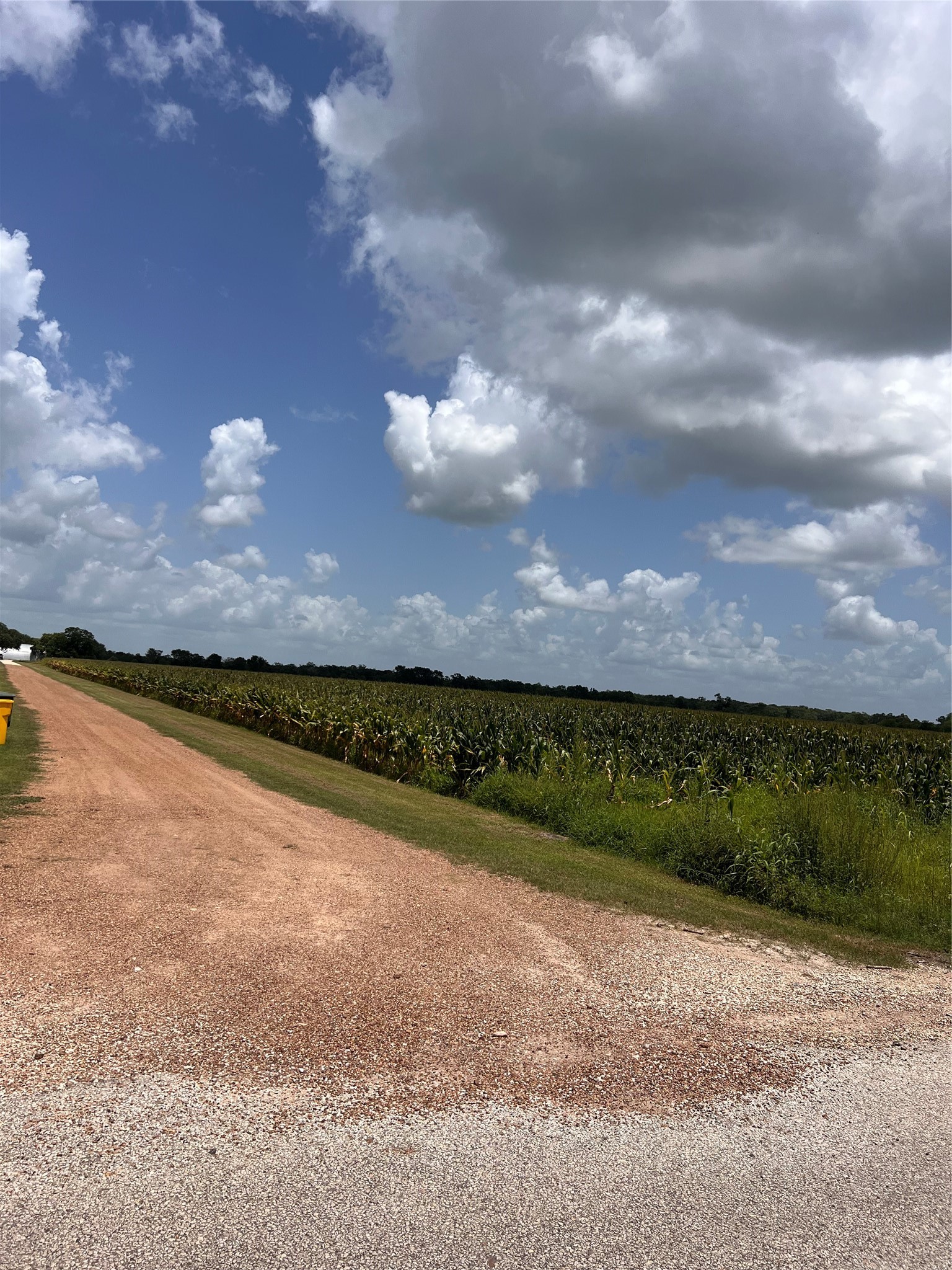 Lot 1 Tract 2 Svoboda Road Wallis, TX 77485 - Photo 2 of 6 a view of a pathway with a lake