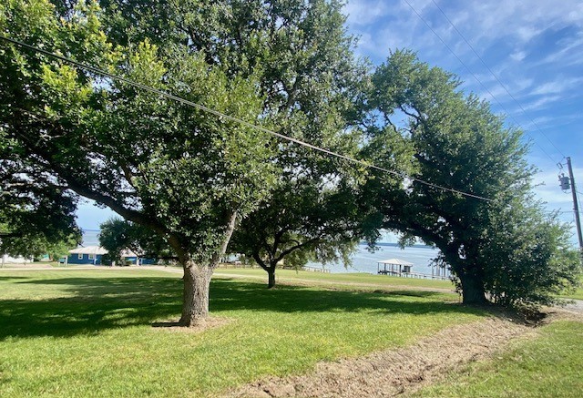 Tbd Clearview Street Point Blank, TX 77364 - Photo 11 of 12