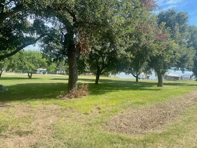 Tbd Clearview Street Point Blank, TX 77364 - Photo 2 of 12