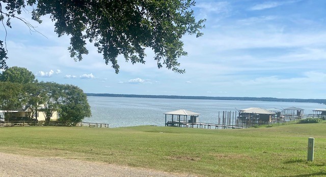 Tbd Clearview Street Point Blank, TX 77364 - Photo 3 of 12