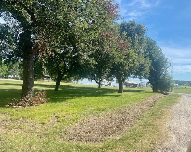 Tbd Clearview Street Point Blank, TX 77364 - Photo 4 of 12