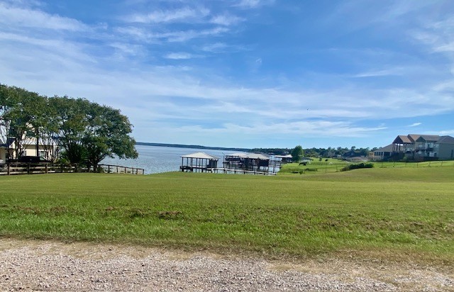 Tbd Clearview Street Point Blank, TX 77364 - Photo 5 of 12