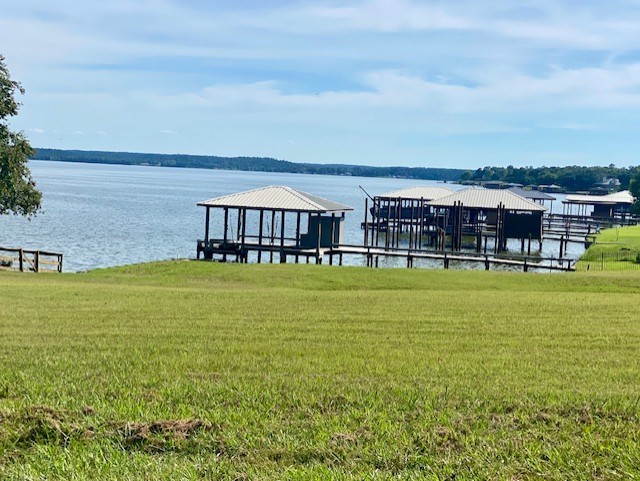 Tbd Clearview Street Point Blank, TX 77364 - Photo 8 of 12