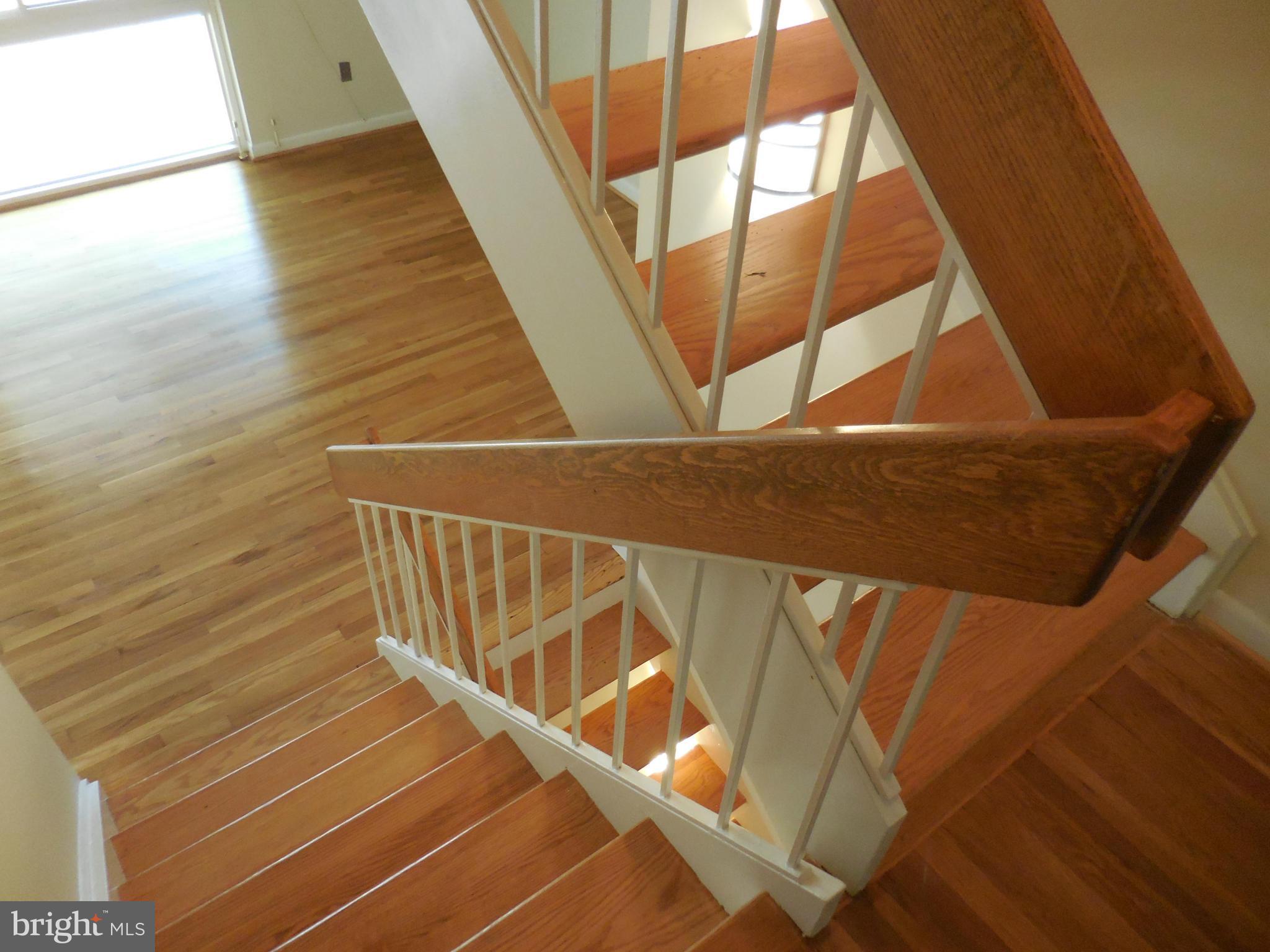 11184 Saffold Way Reston, VA 20190 - Photo 6 of 30 Dramatic Architectureb