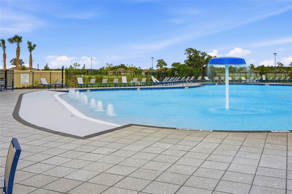 8207 Rushton Place Parrish, FL 34219 - Photo 60 of 65 a view of a swimming pool