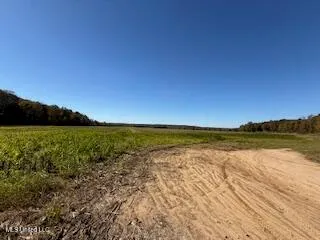 $2,500,000 | 0 Beck Springs, Potts Camp, MS 38659