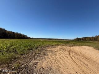 0 Beck Springs Potts Camp, MS 38659 - Photo 12 of 24 ENTRANCE TO THE FARM